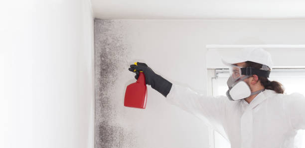 Best Residential Mold Removal  in Heath, OH