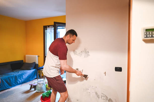 Best Commercial Mold Removal  in Heath, OH