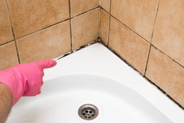 Best Mold Inspection  in Heath, OH